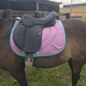 wintec pony 15